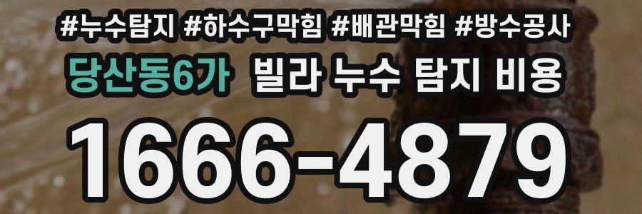 당산동6가 빌라 누수 탐지 비용