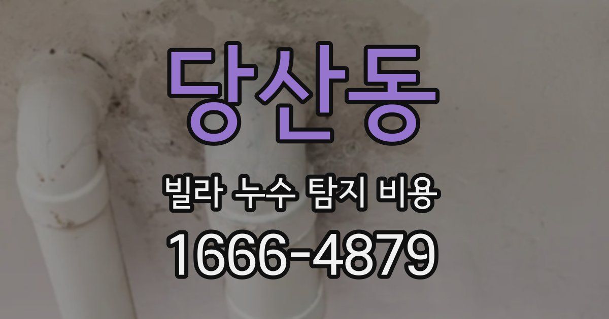 당산동 빌라 누수 탐지 비용
