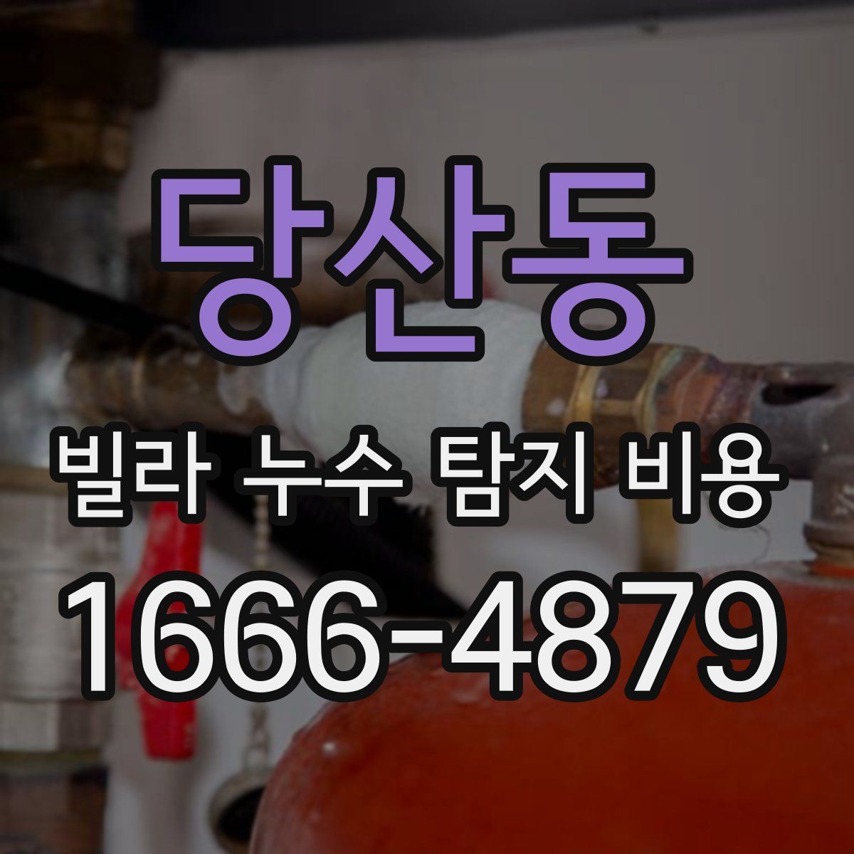 당산동 빌라 누수 탐지 비용