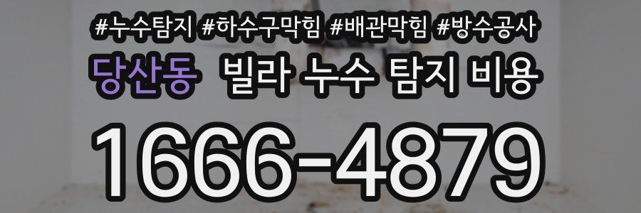 당산동 빌라 누수 탐지 비용