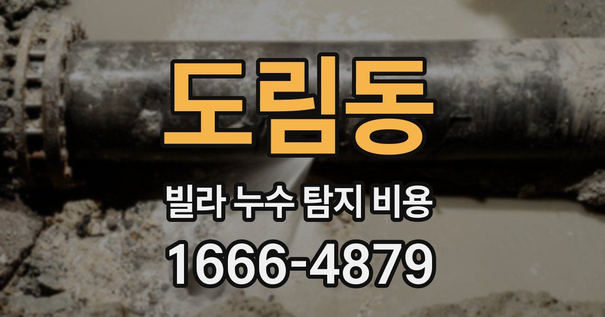도림동 빌라 누수 탐지 비용