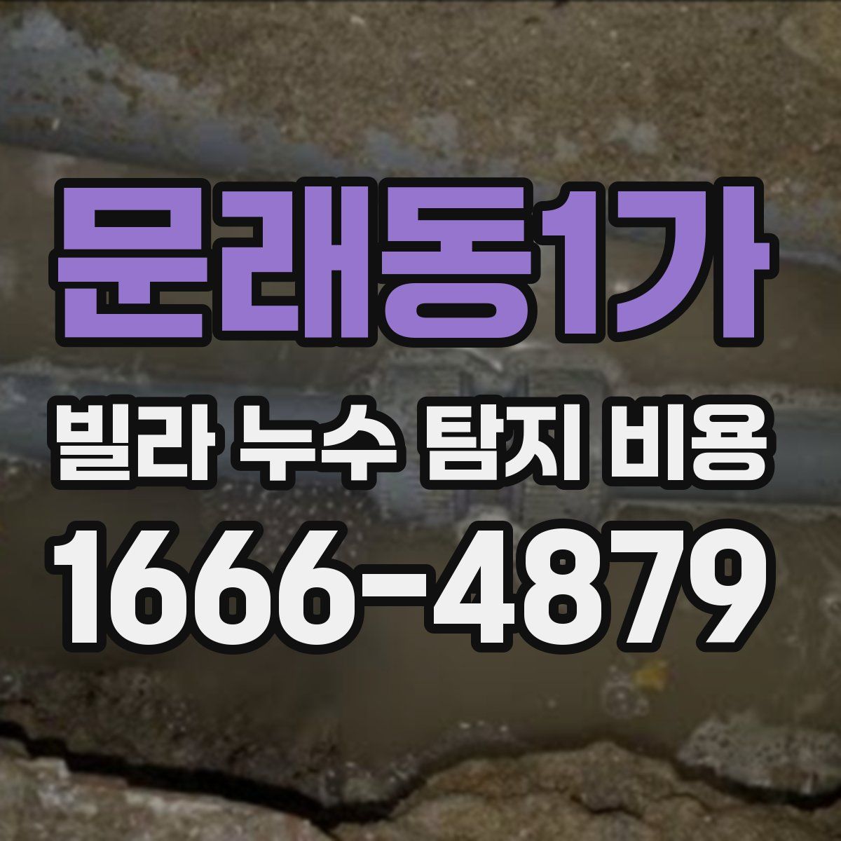 문래동1가 빌라 누수 탐지 비용