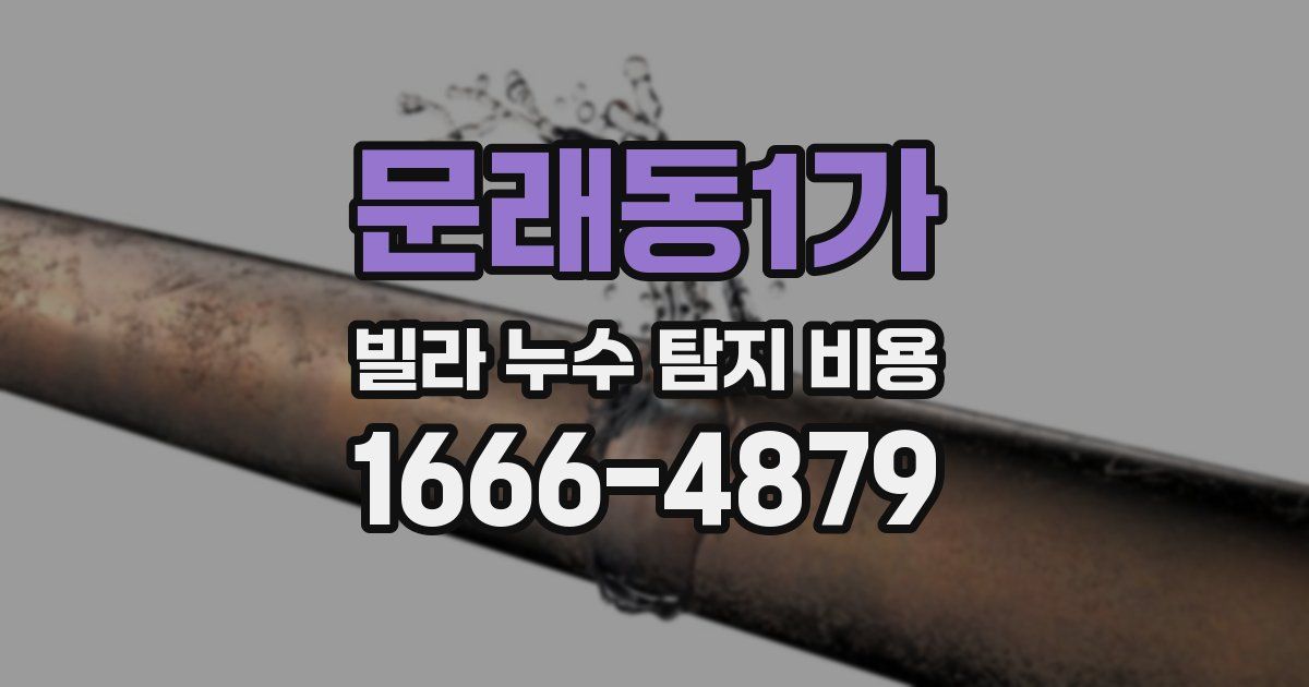 문래동1가 빌라 누수 탐지 비용