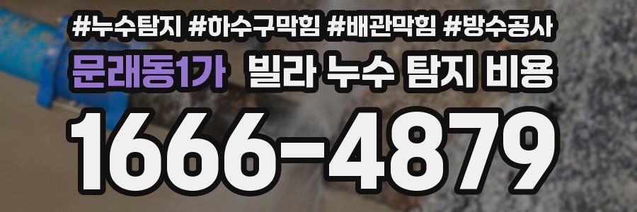 문래동1가 빌라 누수 탐지 비용