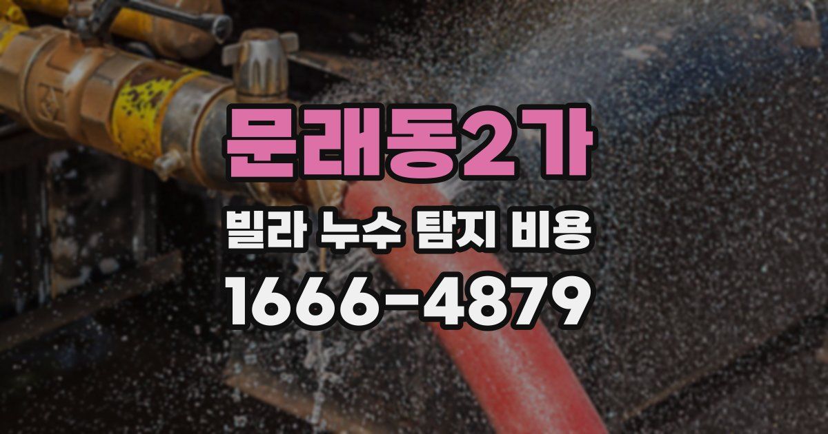 문래동2가 빌라 누수 탐지 비용