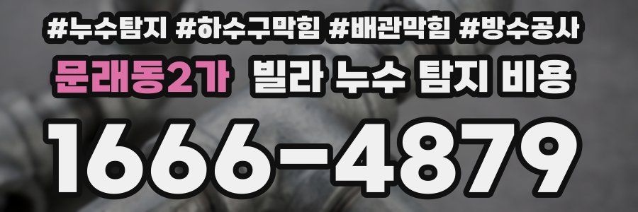 문래동2가 빌라 누수 탐지 비용