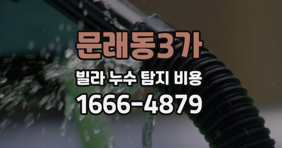 문래동3가 빌라 누수 탐지 비용