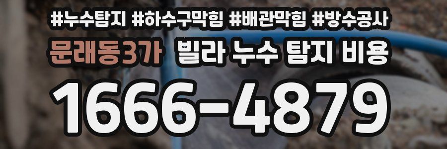 문래동3가 빌라 누수 탐지 비용