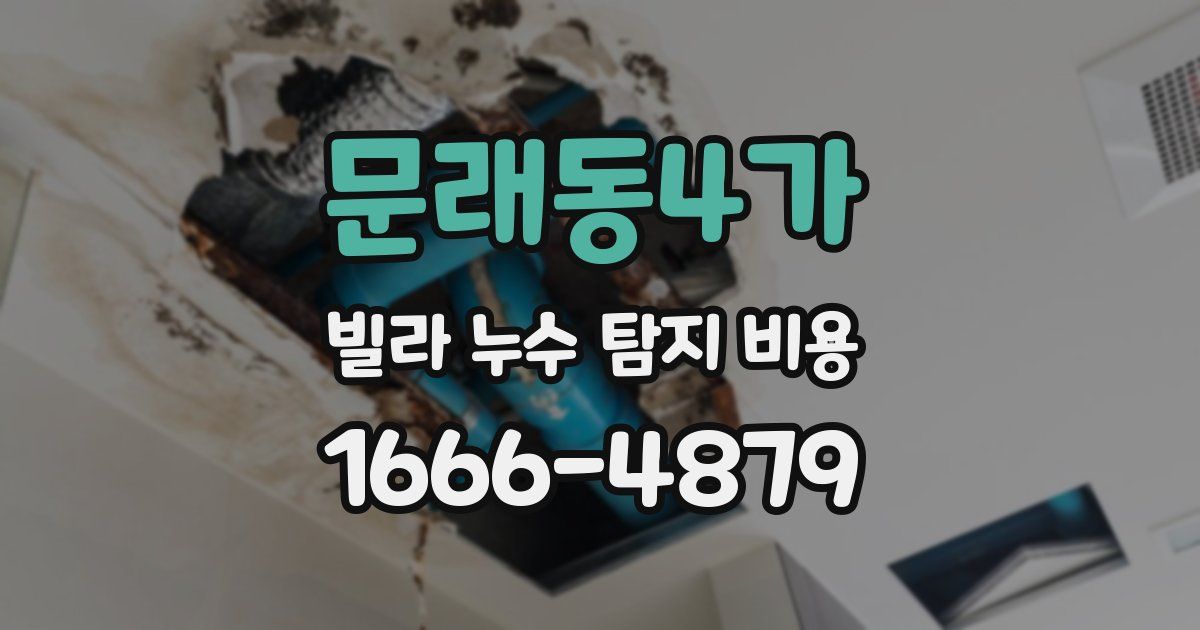 문래동4가 빌라 누수 탐지 비용