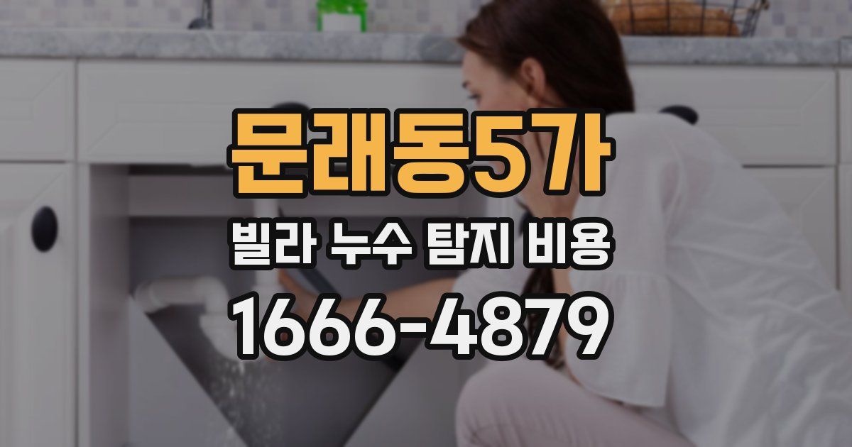 문래동5가 빌라 누수 탐지 비용