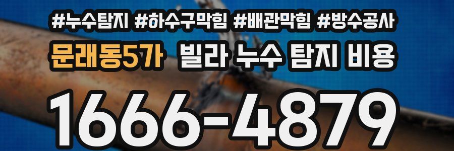 문래동5가 빌라 누수 탐지 비용