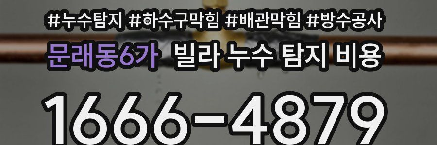 문래동6가 빌라 누수 탐지 비용