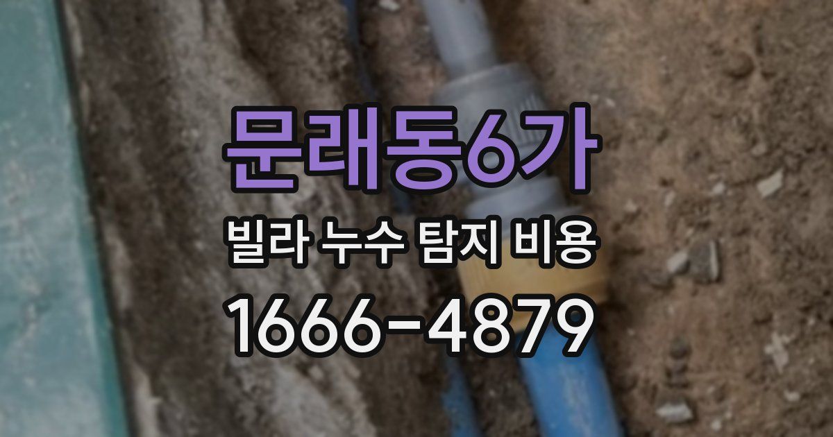 문래동6가 빌라 누수 탐지 비용