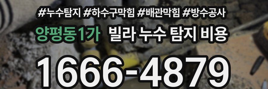 양평동1가 빌라 누수 탐지 비용