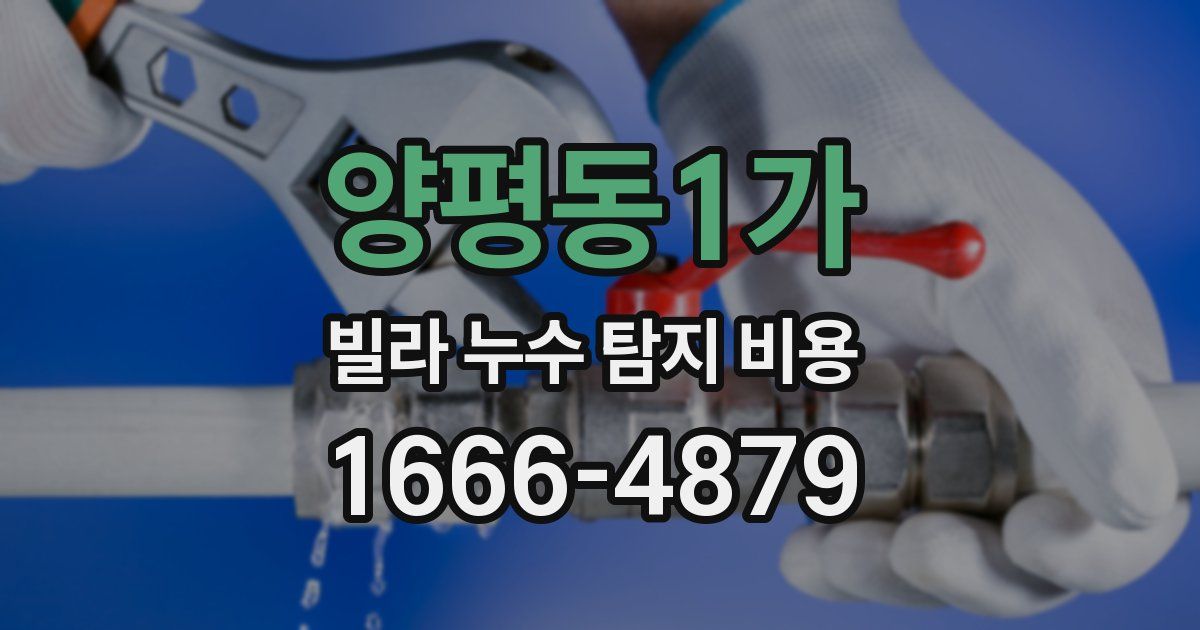 양평동1가 빌라 누수 탐지 비용