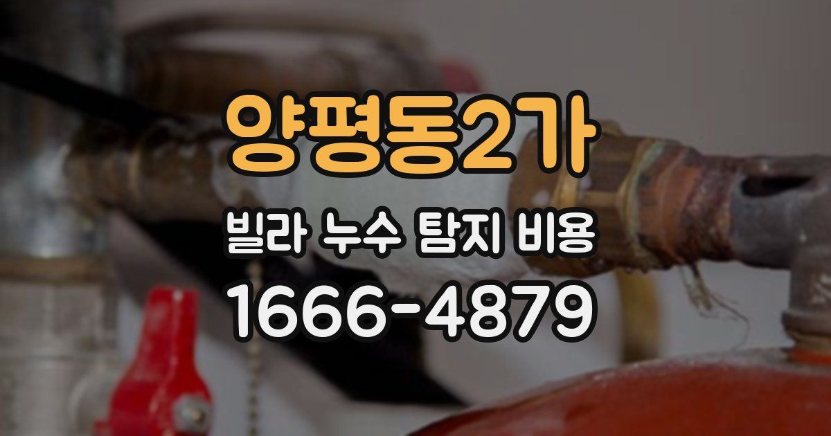 양평동2가 빌라 누수 탐지 비용
