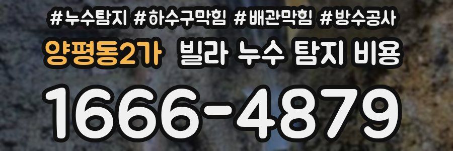 양평동2가 빌라 누수 탐지 비용