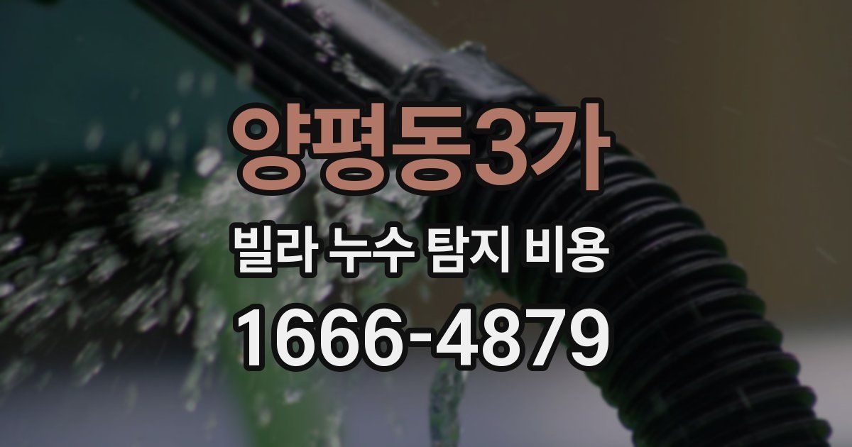 양평동3가 빌라 누수 탐지 비용