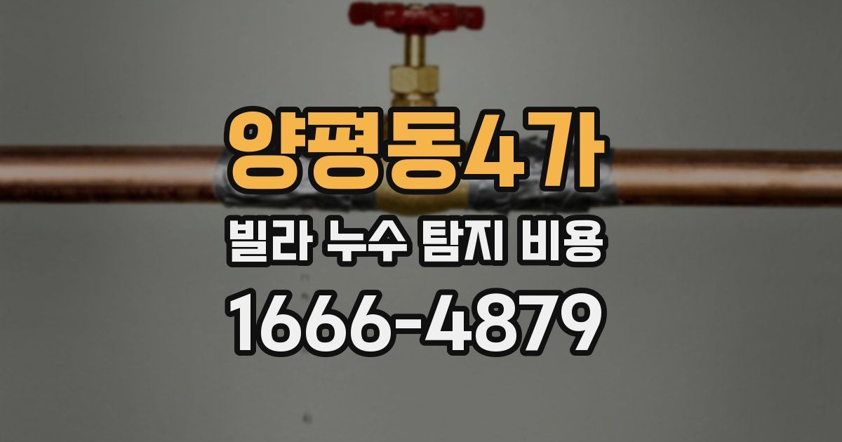 양평동4가 빌라 누수 탐지 비용