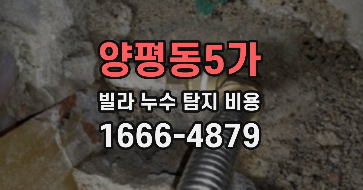 양평동5가 빌라 누수 탐지 비용