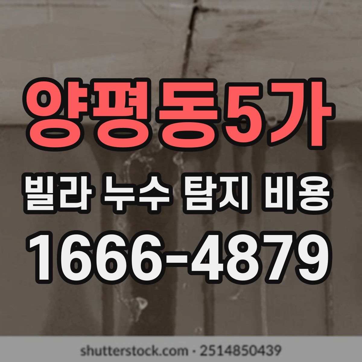 양평동5가 빌라 누수 탐지 비용