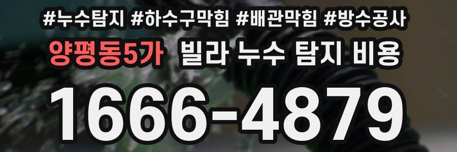 양평동5가 빌라 누수 탐지 비용