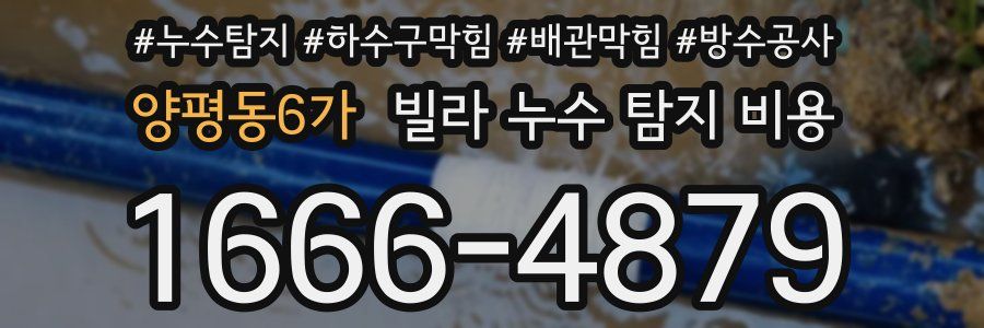 양평동6가 빌라 누수 탐지 비용