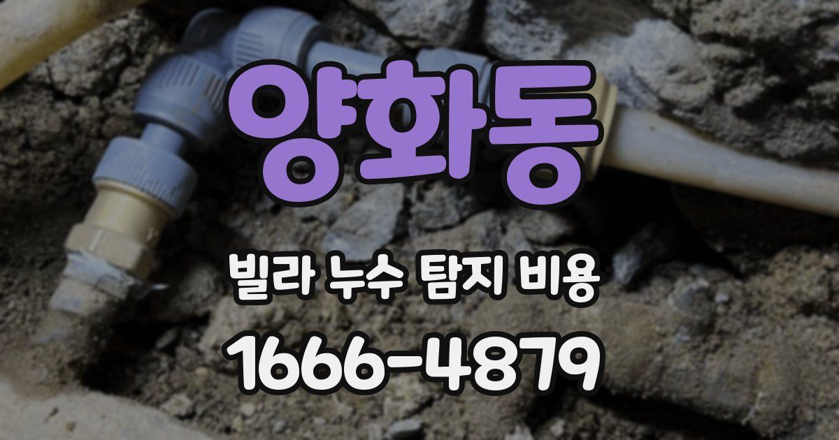 양화동 빌라 누수 탐지 비용