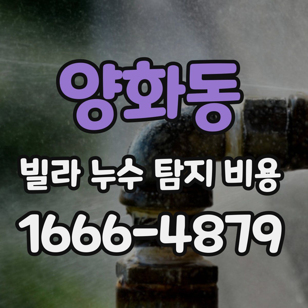양화동 빌라 누수 탐지 비용