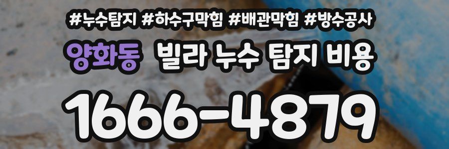 양화동 빌라 누수 탐지 비용