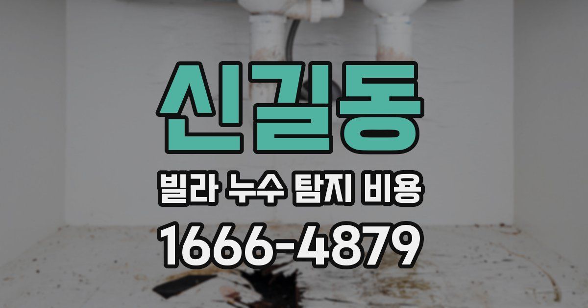 신길동 빌라 누수 탐지 비용