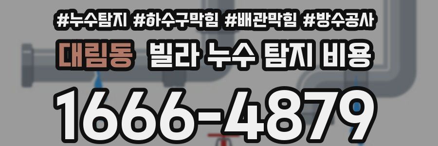 대림동 빌라 누수 탐지 비용