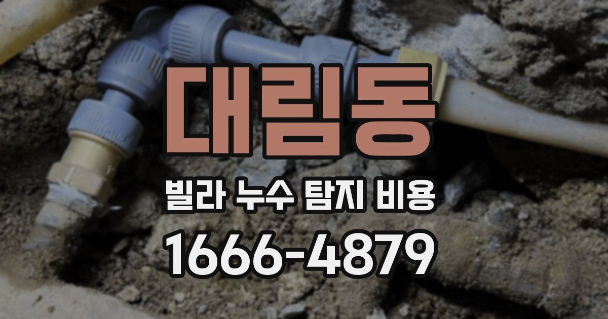 대림동 빌라 누수 탐지 비용