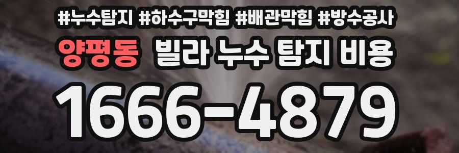양평동 빌라 누수 탐지 비용