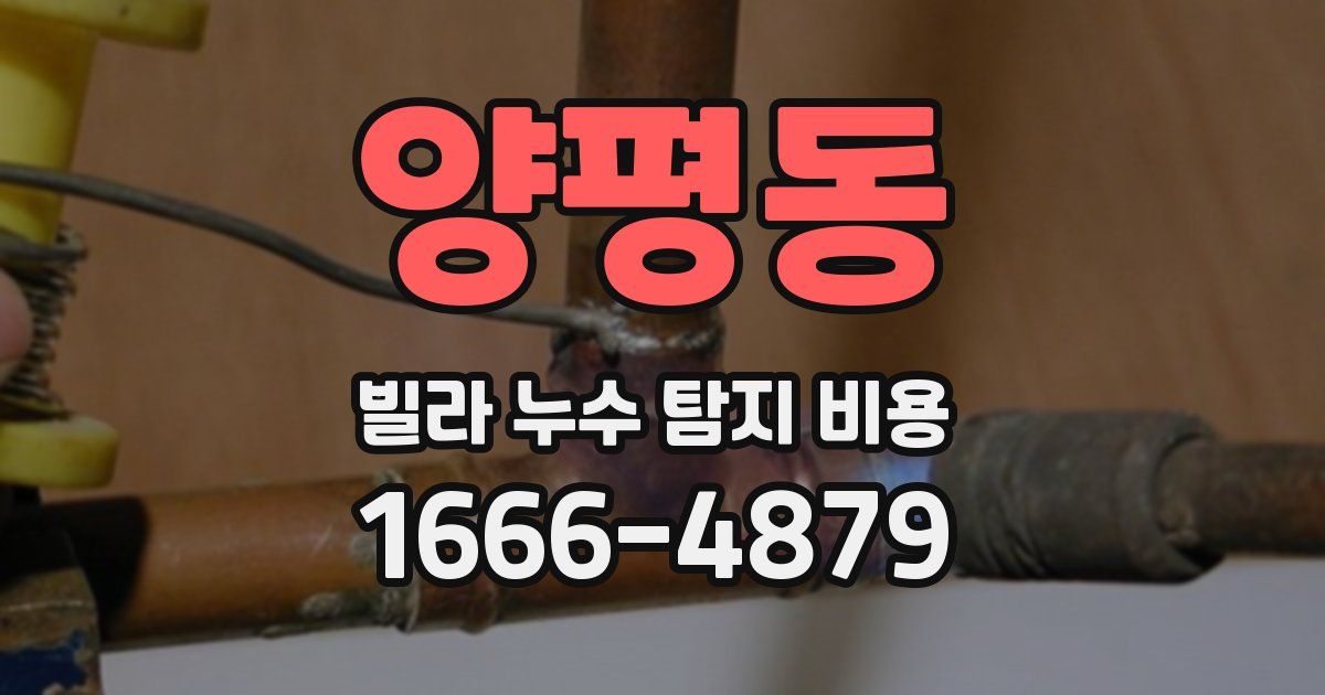 양평동 빌라 누수 탐지 비용