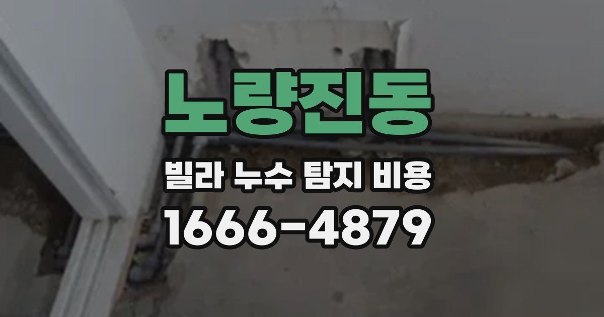 노량진동 빌라 누수 탐지 비용