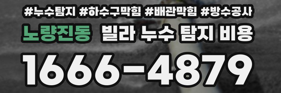 노량진동 빌라 누수 탐지 비용