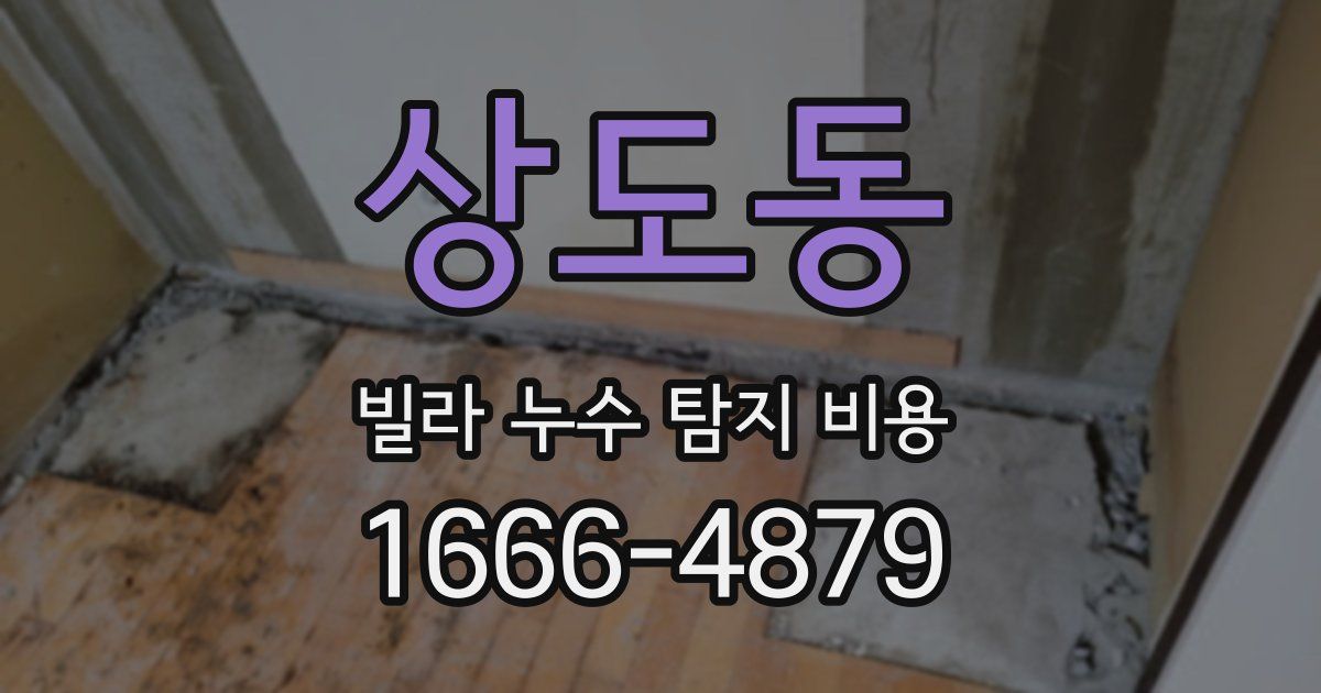 상도동 빌라 누수 탐지 비용