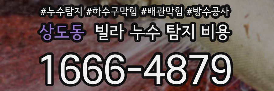 상도동 빌라 누수 탐지 비용