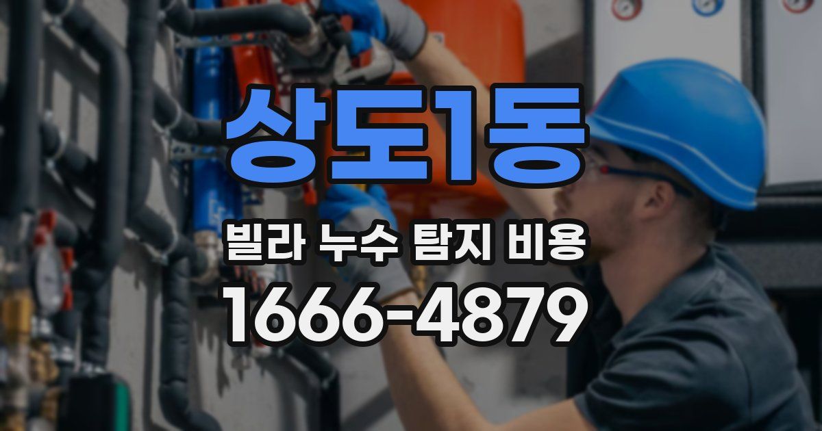 상도1동 빌라 누수 탐지 비용