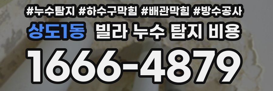 상도1동 빌라 누수 탐지 비용