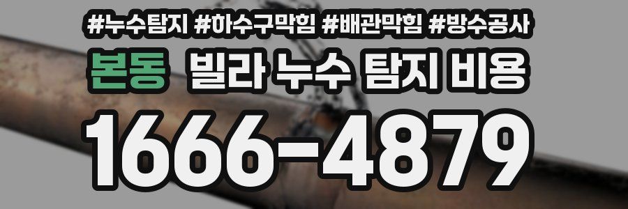 본동 빌라 누수 탐지 비용