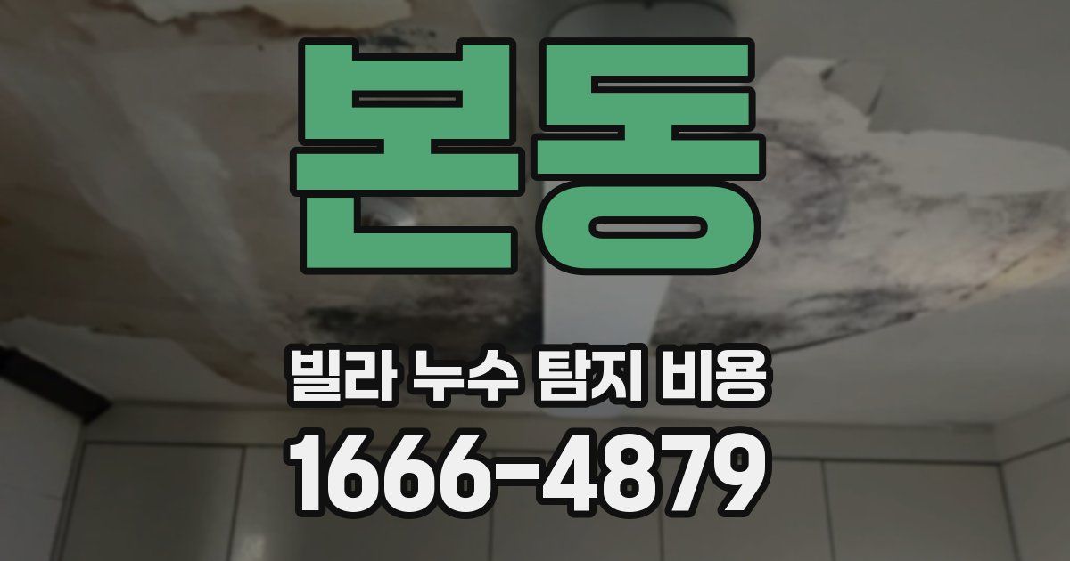 본동 빌라 누수 탐지 비용