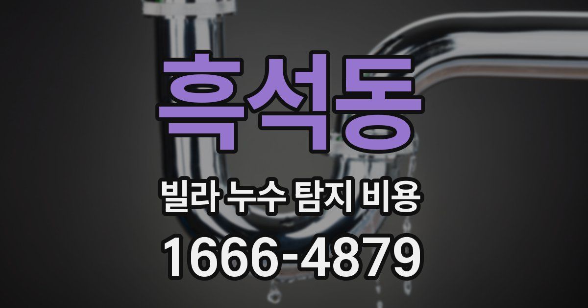 흑석동 빌라 누수 탐지 비용