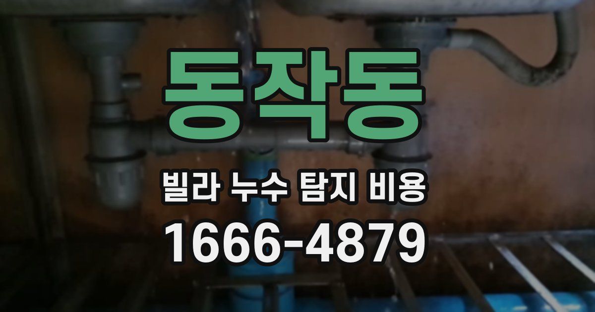 동작동 빌라 누수 탐지 비용