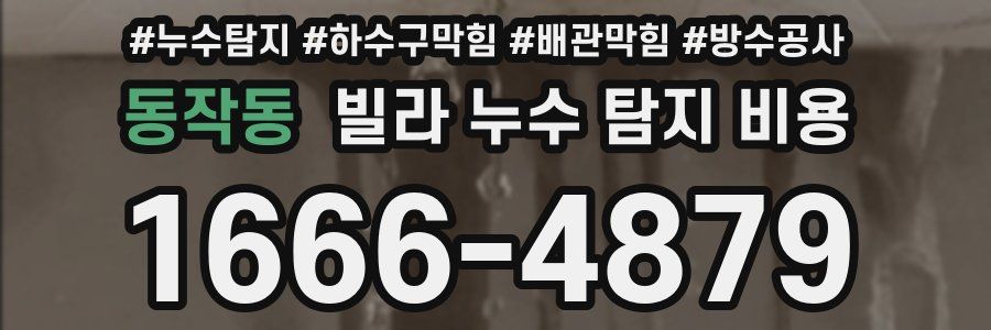 동작동 빌라 누수 탐지 비용