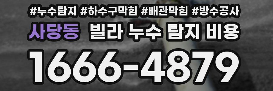 사당동 빌라 누수 탐지 비용
