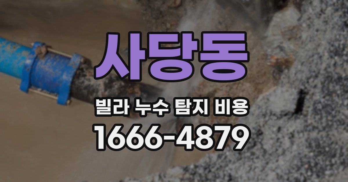 사당동 빌라 누수 탐지 비용