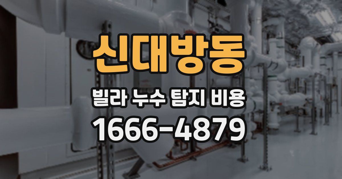 신대방동 빌라 누수 탐지 비용