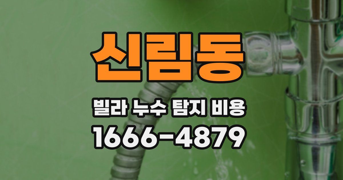 신림동 빌라 누수 탐지 비용